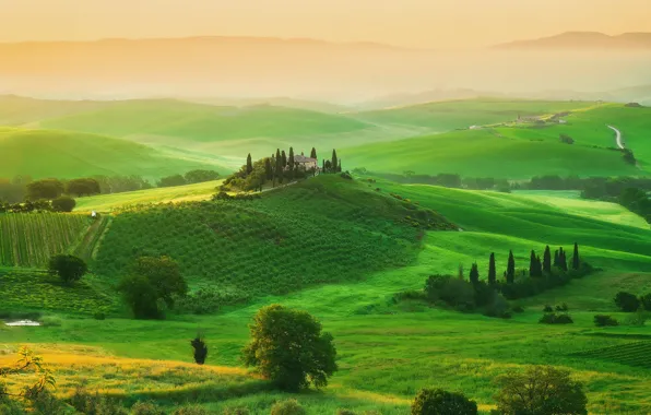 Картинка деревья, дом, поля, весна, утро, Италия, Май, усадьба, Тоскана