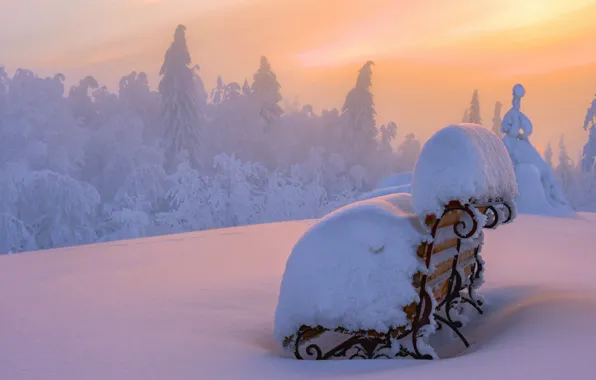 Картинка лес, снег, закат, snow, Лавочка