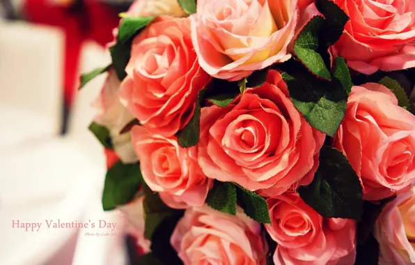 Картинка цветы, розы, rose, flowers, happy valentines day, день Святого Валентина