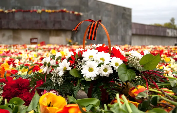 Картинка цветы, память, 9 мая, Victory Day, 9 May, День Победы, георгиевская ленточка