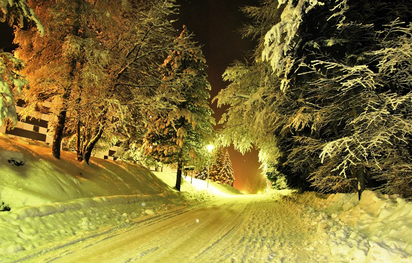 Фото обои зима, дорога, снег, деревья, фонари