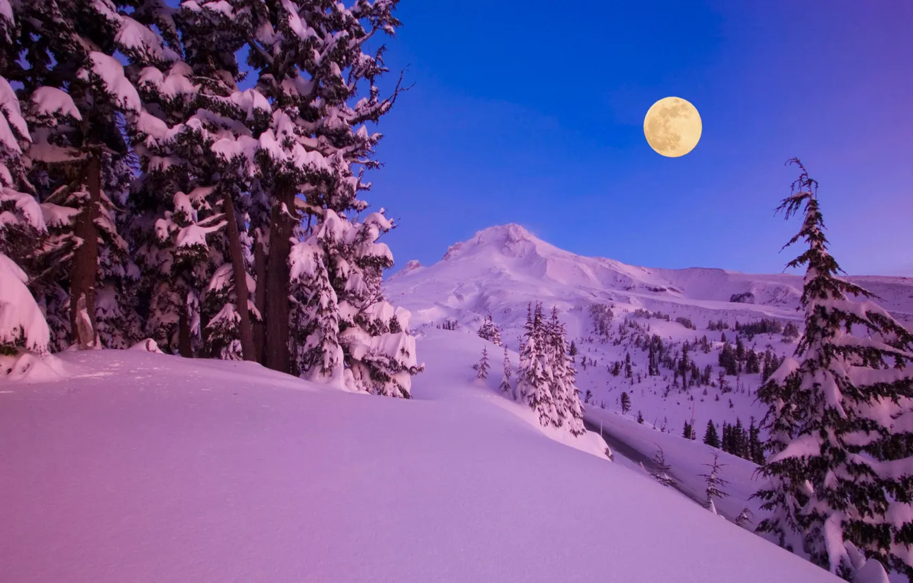 Фото обои зима, снег, деревья, горы, ночь, природа, луна, месяц, леса