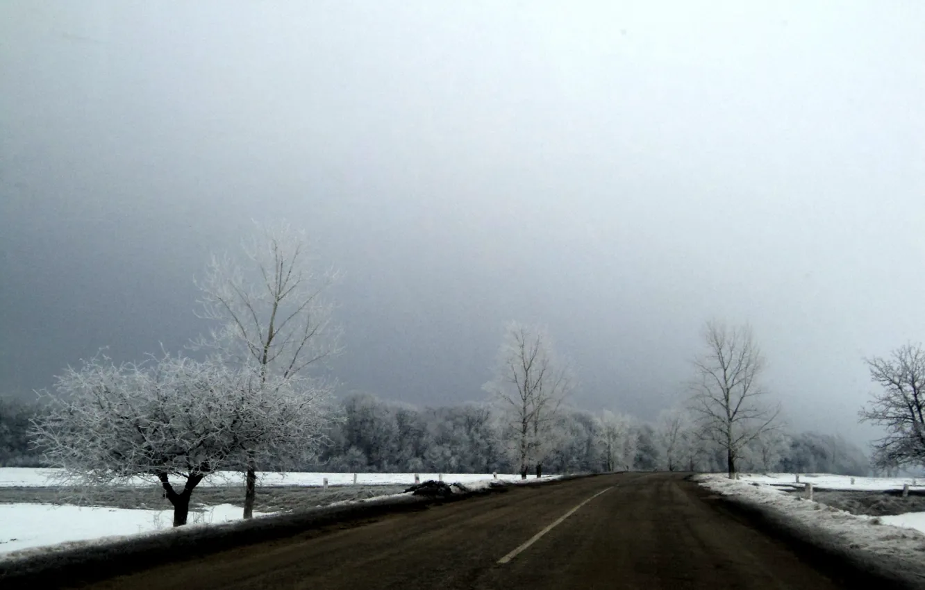 Фото обои зима, иней, дорога