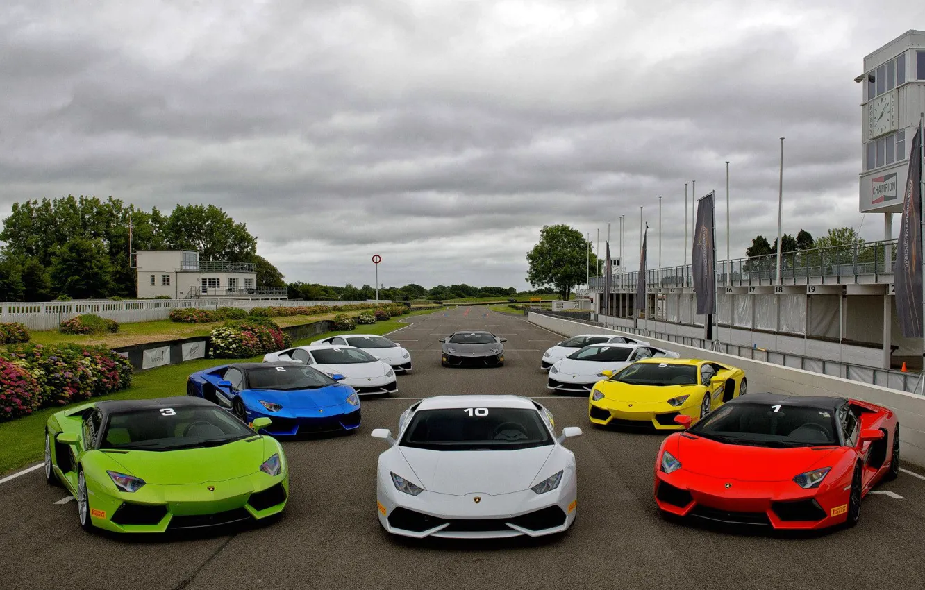 Фото обои трасса, Lamborghini, белая, красная, зеленая, синяя, roadster, Aventador, Huracan, Goodwood Motor Circuit