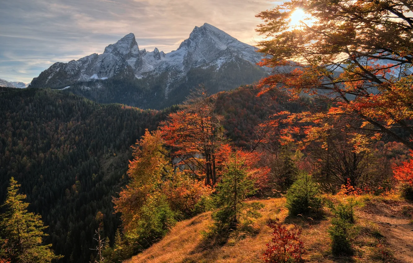 Фото обои осень, небо, деревья, закат, горы, природа, Nature, sky, trees, l...