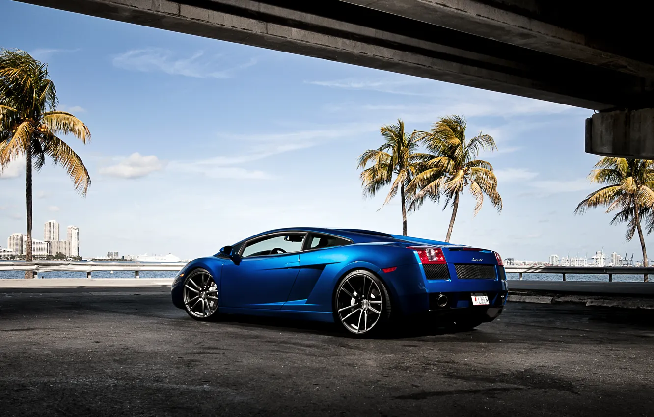 Фото обои небо, синий, пальмы, Lamborghini, Gallardo, небоскрёбы, ламборджини, blue, ламборгини, задняя часть, галлардо