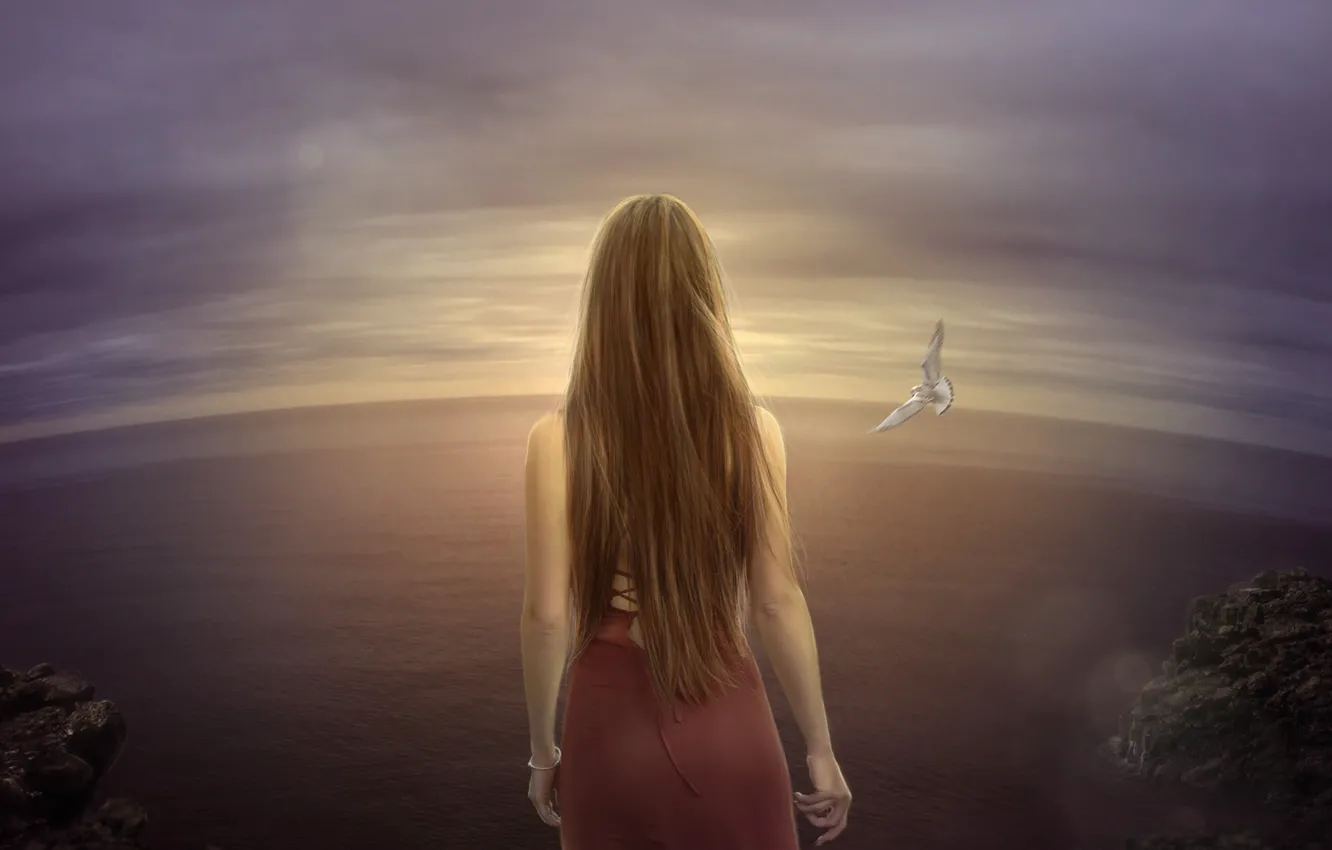 Фото обои море, одиночество, ветер, птица, чайка, арт, простор, шатенка, длинноволосая, нарисованная девушка