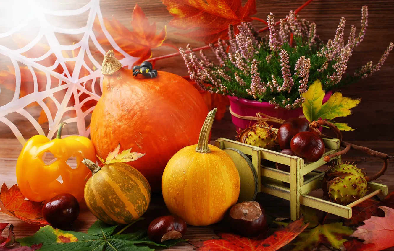 https://img1.goodfon.ru/wallpaper/nbig/1/48/autumn-harvest-still-life-1763.jpg