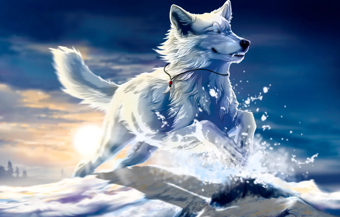 Фото обои белый, солнце, снег, закат, прыжок, Волк, art, клык, be free, wolfroad