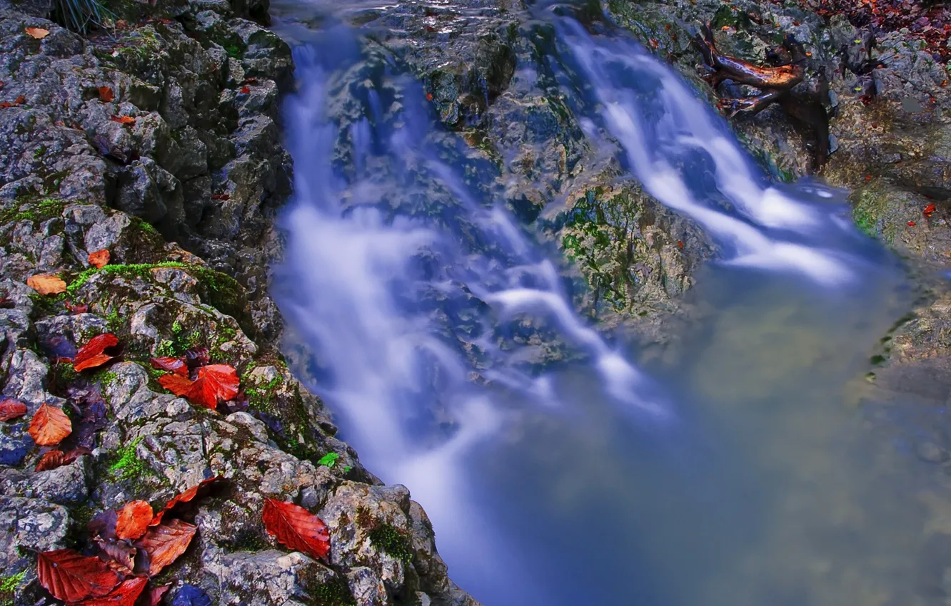 Фото обои осень, листья, вода, ручей, камни, поток