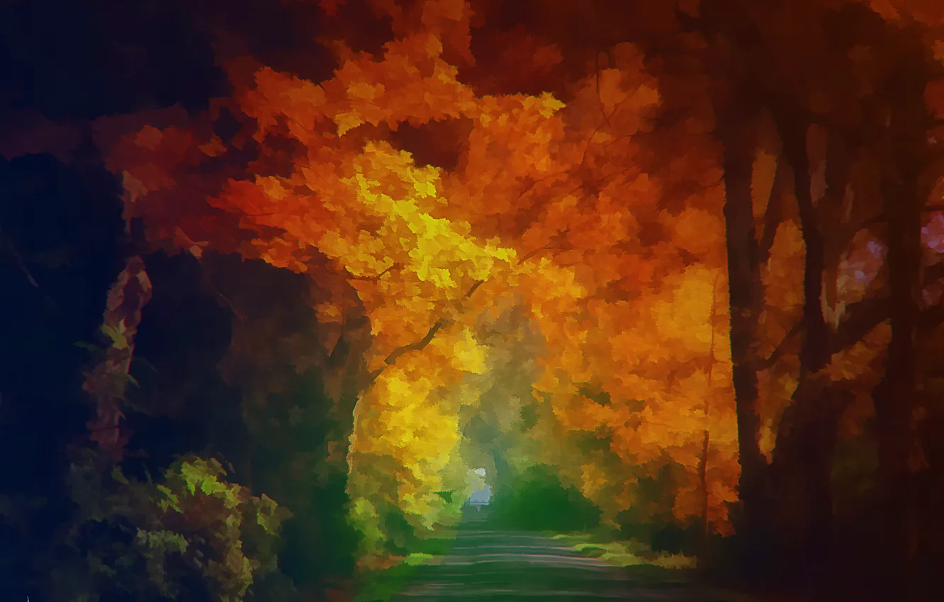 Фото обои осень, деревья, пейзаж, природа, путь
