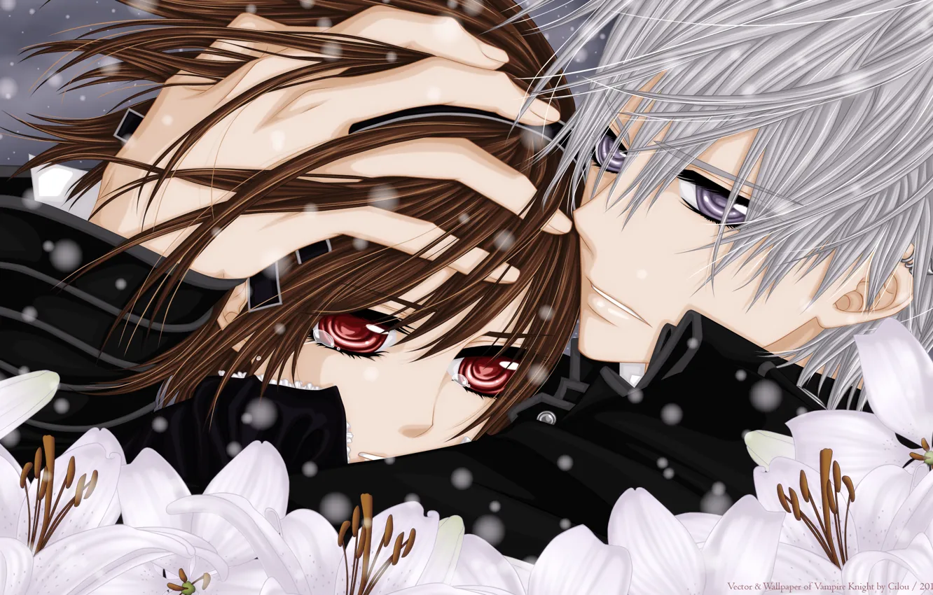 Фото обои взгляд, снег, цветы, слезы, объятия, Vampire Knight, Yuki, Zero. 
