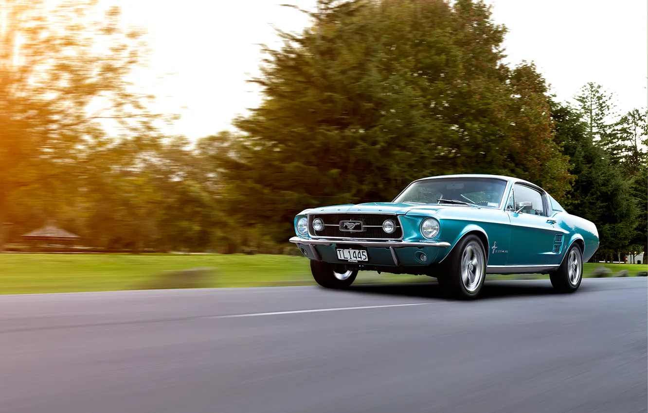 Фото обои Mustang, Ford, форд, 1967