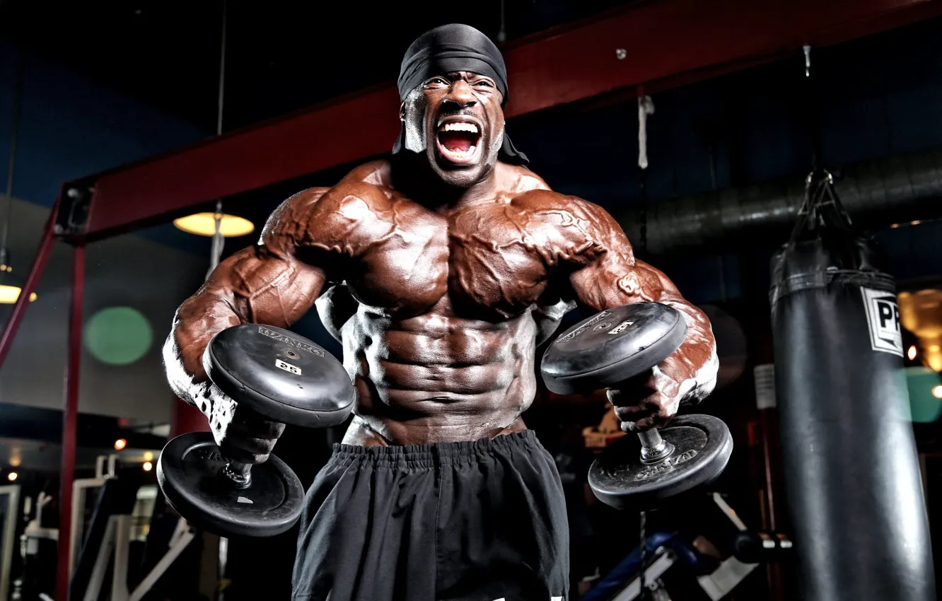 Фото обои поза, muscle, мышцы, gym, бодибилдер, dumbbells, bodybuilder, Кал...