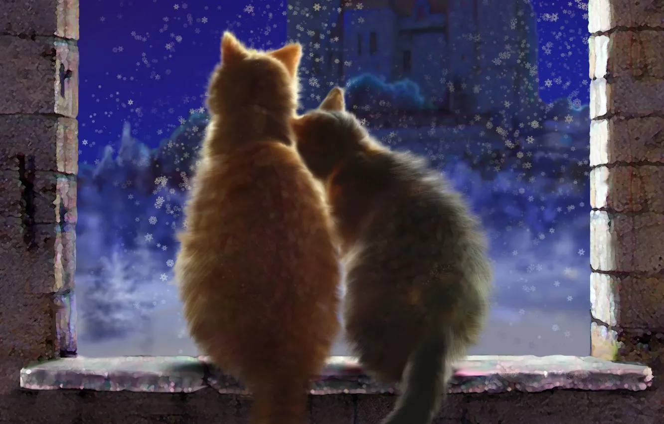 Фото обои зима, снег, любовь, кошки, снежинки, ночь, замок, окно, арт, пара, подоконник