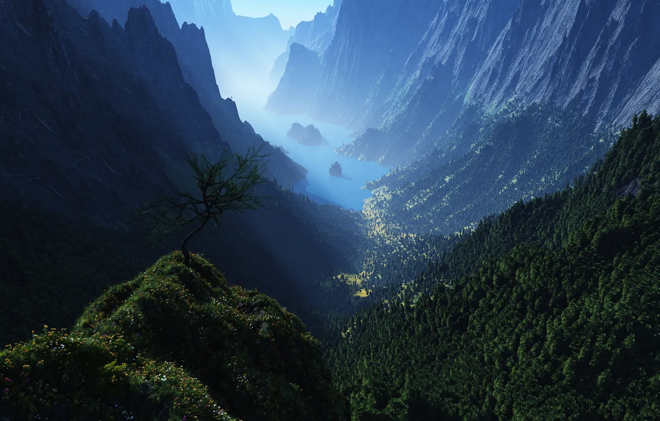Фото обои лес, горы