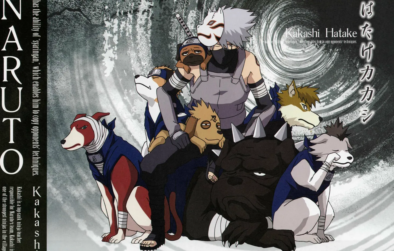 Фото обои собаки, катана, маска, Naruto, бинты, ninja, sensei, Kakashi Hatake, Pakkun, Наруто Ураганные хроники, ANBU