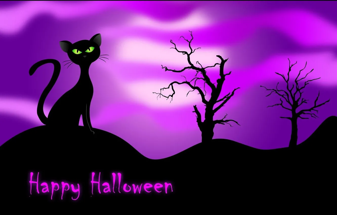 Фото обои кошка, ночь, черная, Happy Halloween