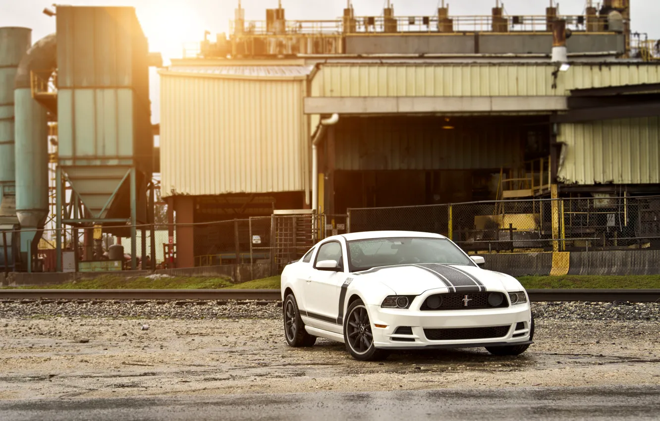 Фото обои белый, Mustang, Ford, мустанг, Boss 302, white, мускул кар, форд, блик, muscle car, спортивные полосы