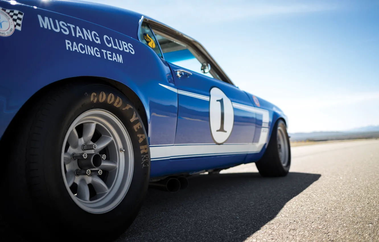 Фото обои синий, скорость, Mustang, Ford, Muscle, 1969, Car, Race, автомобиль, Classic, классика, легенда, Blue, Musclecar, 302, …