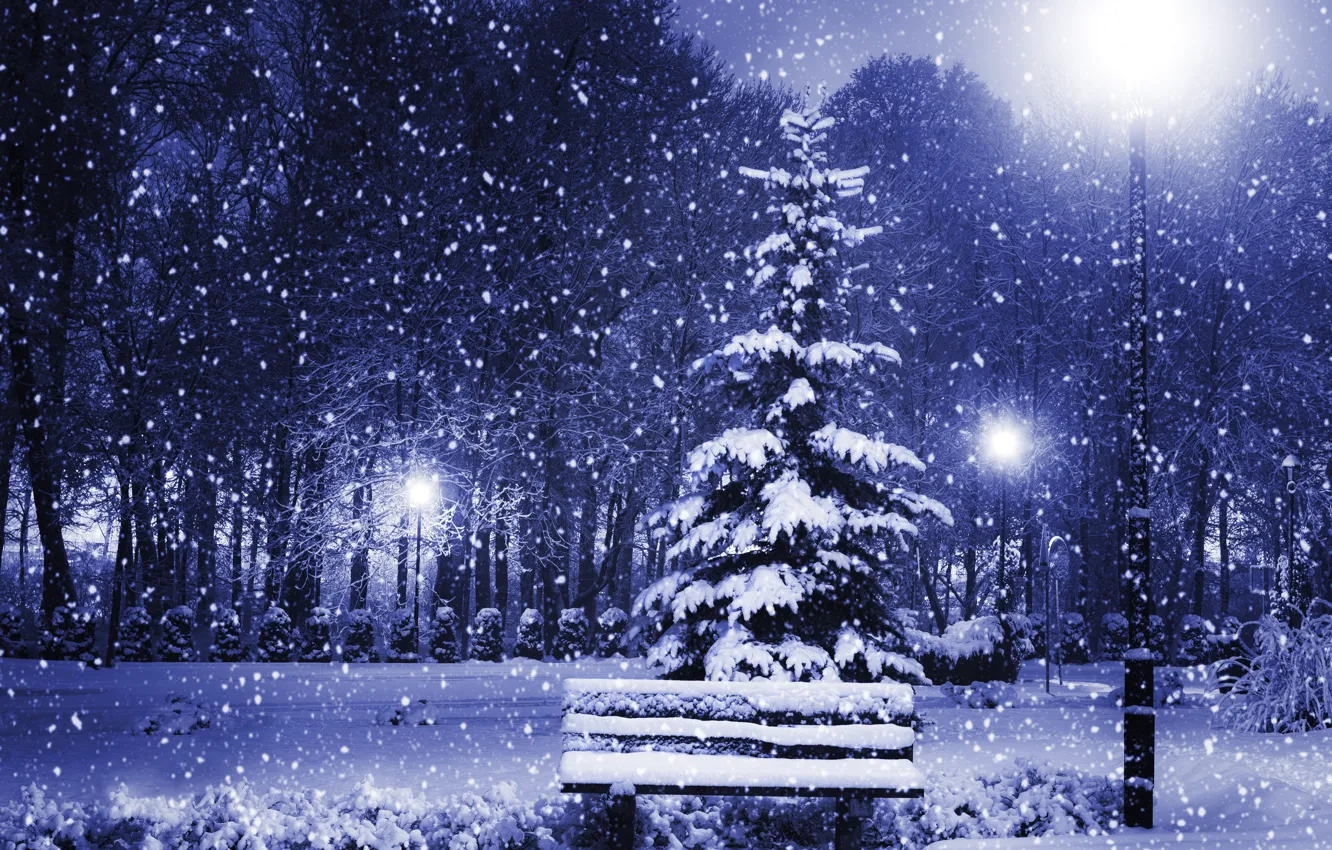 Фото обои зима, свет, снег, деревья, скамейка, природа, города, елка, Новый год, light, Nature, new year, trees, …