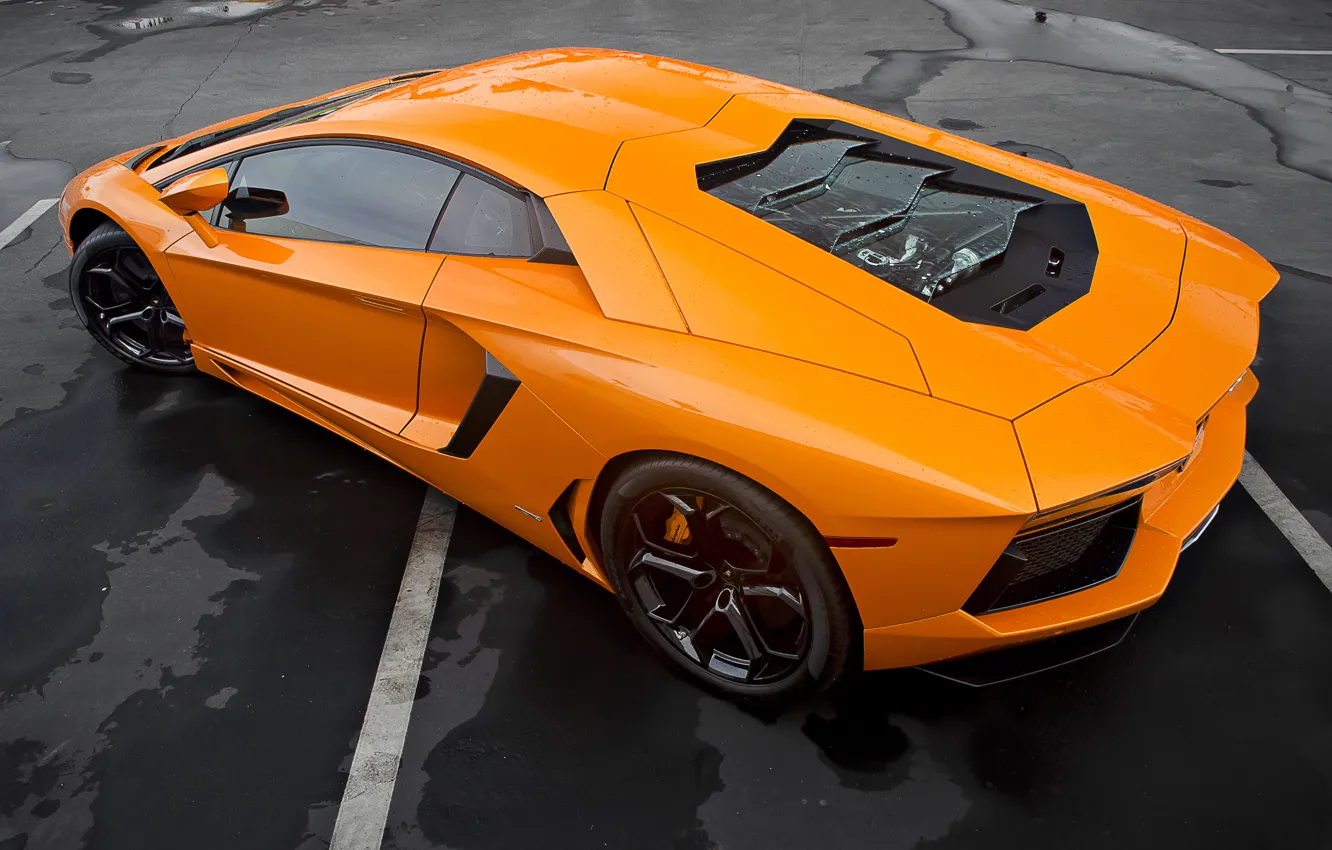 Фото обои Lamborghini, Ламборджини, Orange, LP700-4, Aventador, Авентадор