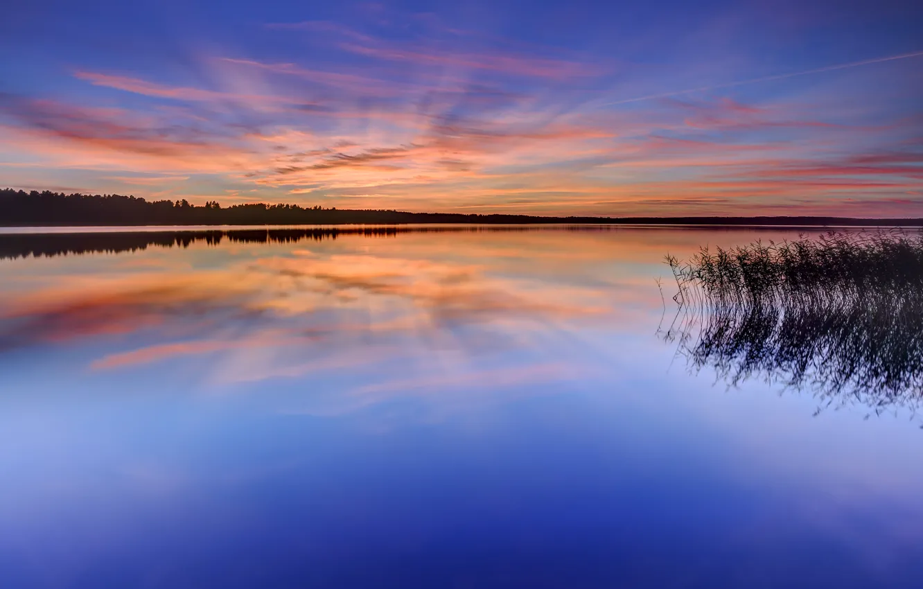 Фото обои лес, небо, трава, вода, облака, деревья, закат, оранжевый, озеро, гладь, отражение, вечер, Швеция, синее, Карлстад