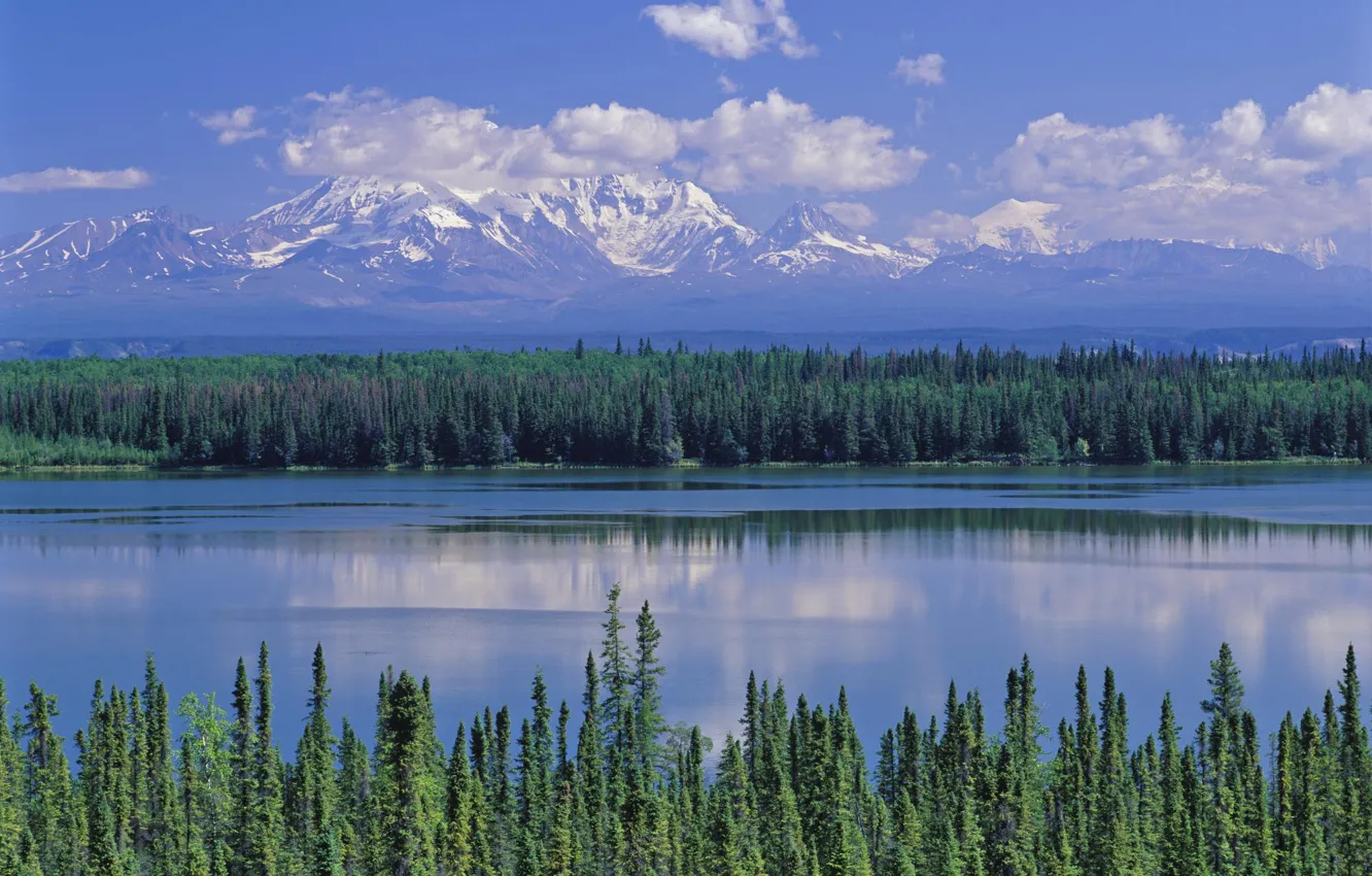 Фото обои лес, горы, река, Аляска, Alaska, Willow Lake and Mt. Wrangell, Wrangell Saint Elias National Park