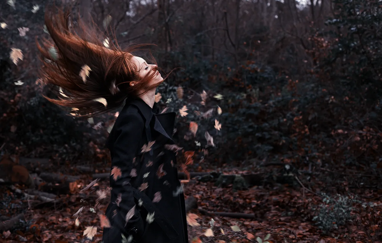 Фото обои осень, листья, девушка, волосы, girl, forest, autumn, leafs, hear
