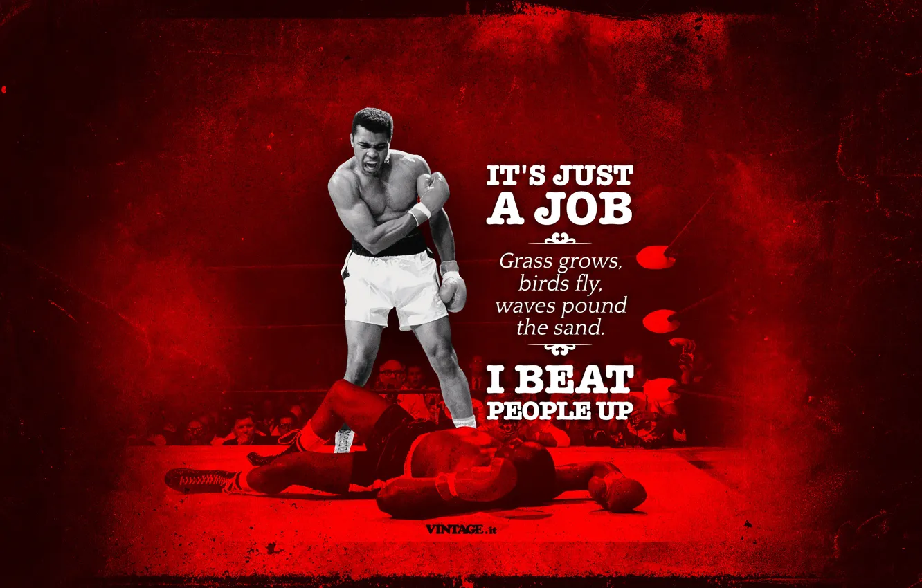 Фото обои Muhammad Ali, Луисвилльская губа, Народный чемпион, американский боксёр-профессионал, Величайший