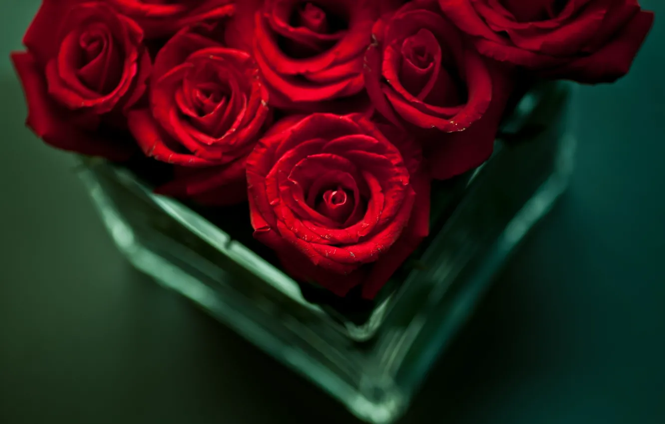 Фото обои цветы, стол, розы, букет, красные, ваза
