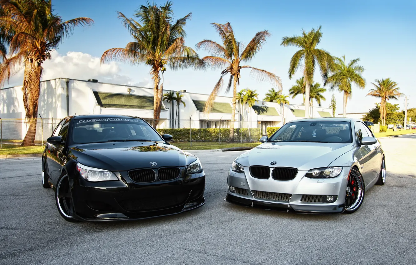 Фото обои небо, пальмы, тюнинг, две, BMW