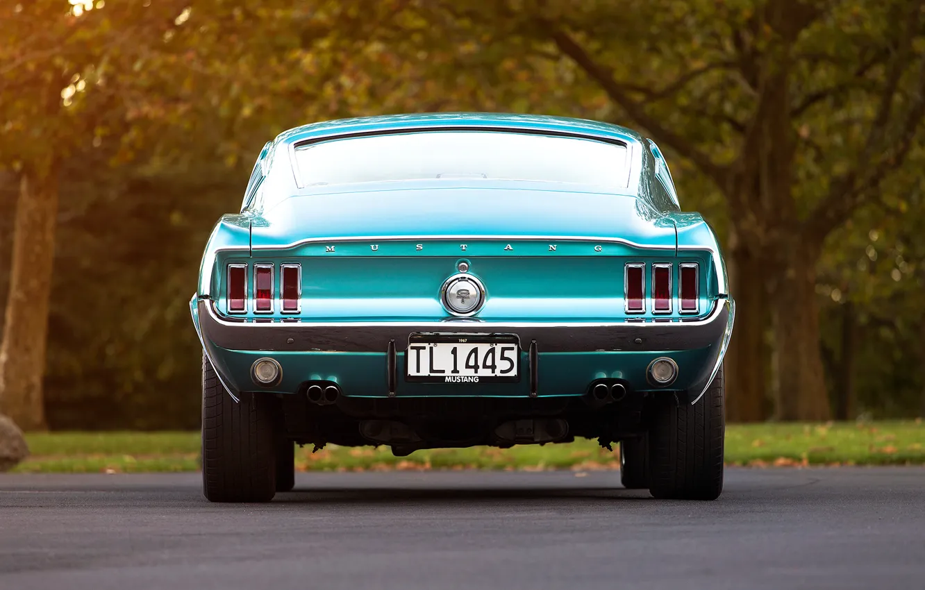 Фото обои Mustang, Ford, номер, багажник, 1967, Fastback, задом