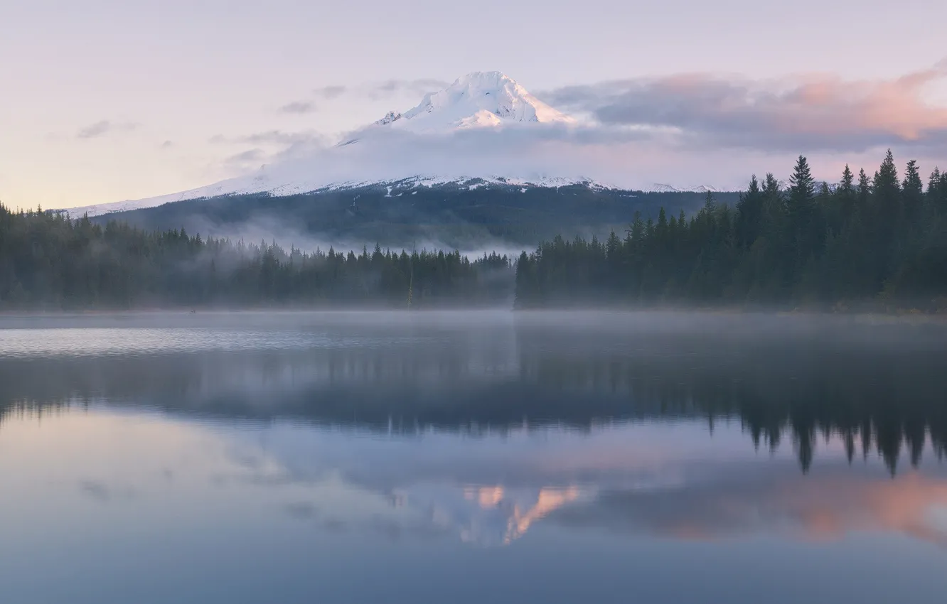 Фото обои лес, отражения, туман, озеро, гора
