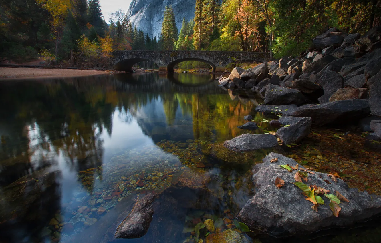 Фото обои осень, лес, деревья, мост, природа, река