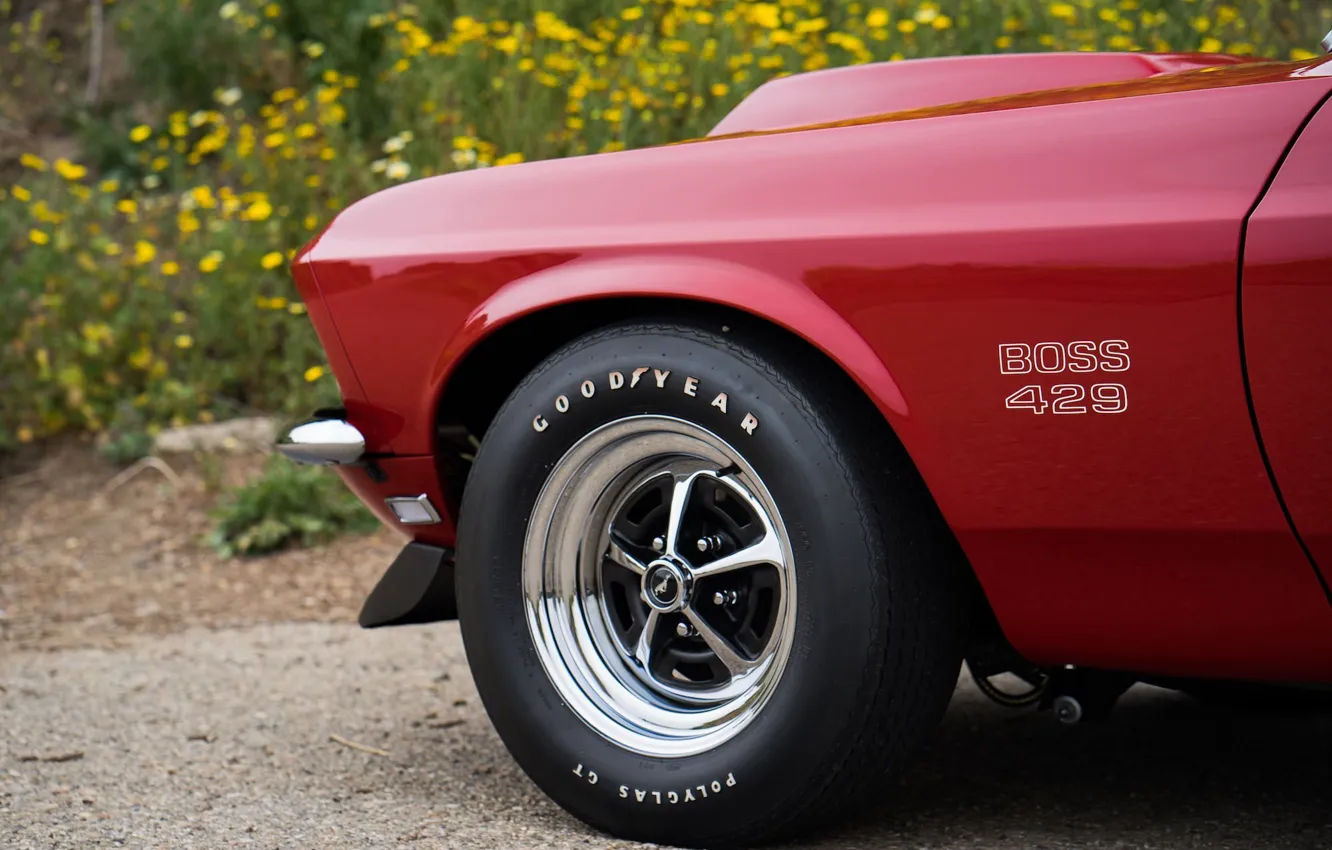 Фото обои Mustang, Ford, Muscle, 1969, Red, Car, Classic, Musclecar, Boss, American, 429, NasCar
