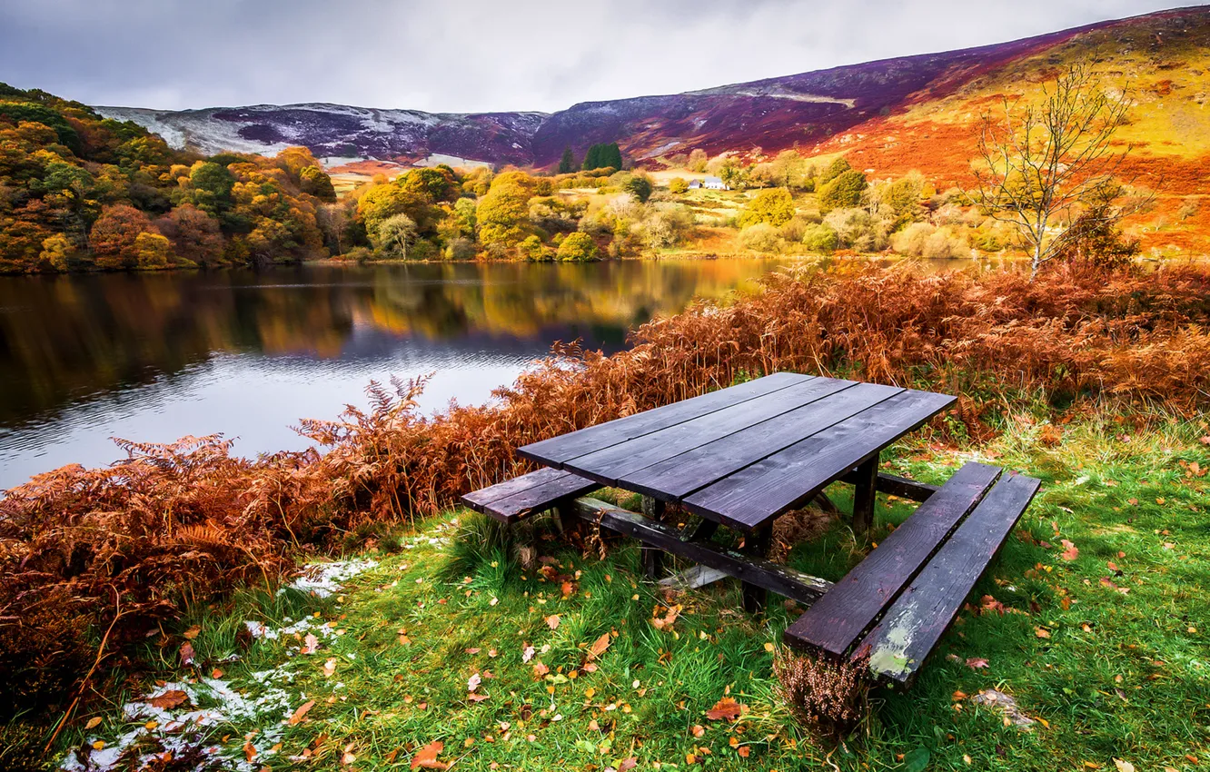 Фото обои осень, трава, листья, деревья, пейзаж, река, стол, берег, лавочки
