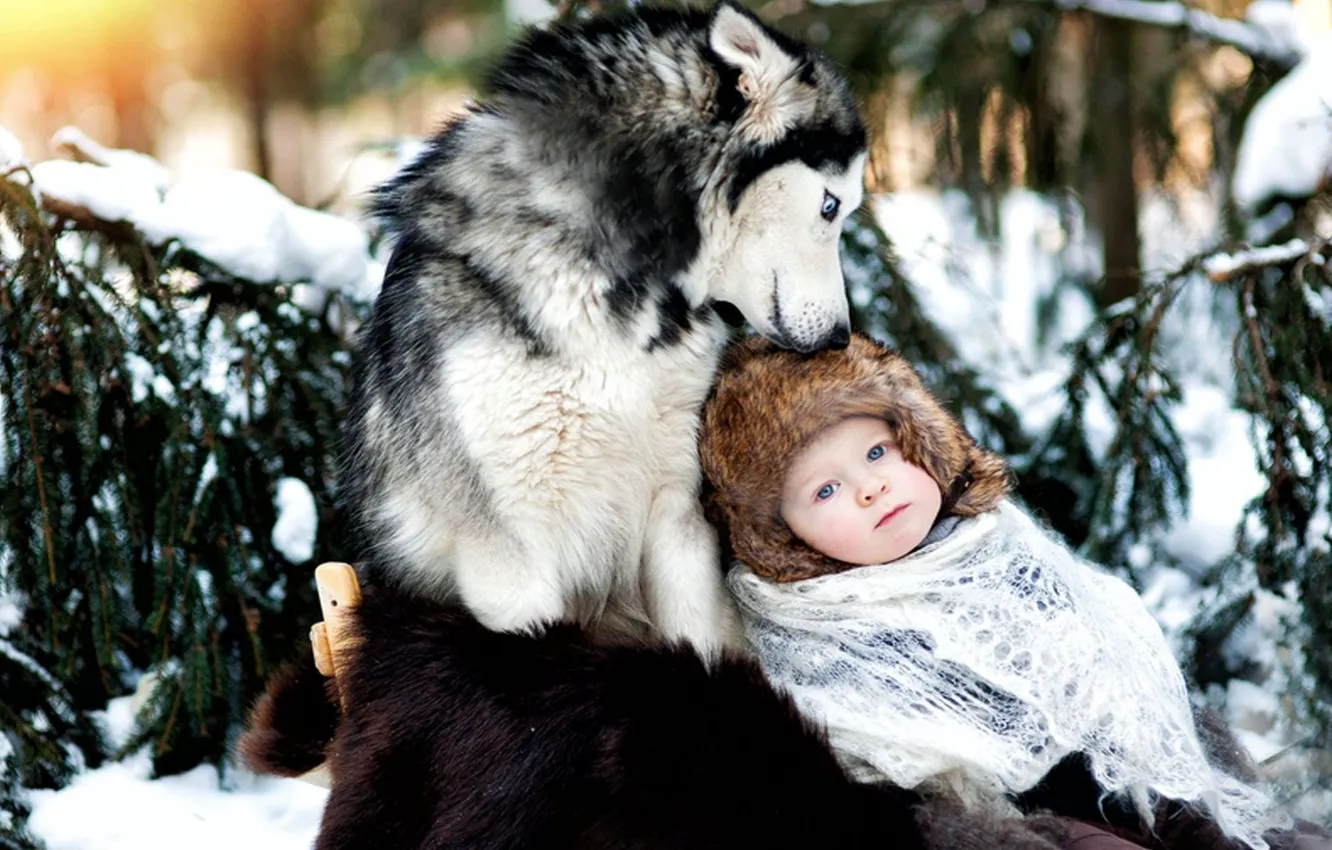 Фото обои зима, снег, ребенок, собака, дружба, хаски