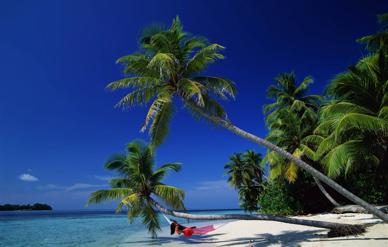 Фото обои море, пальмы, релакс, гамак, залив, баунти