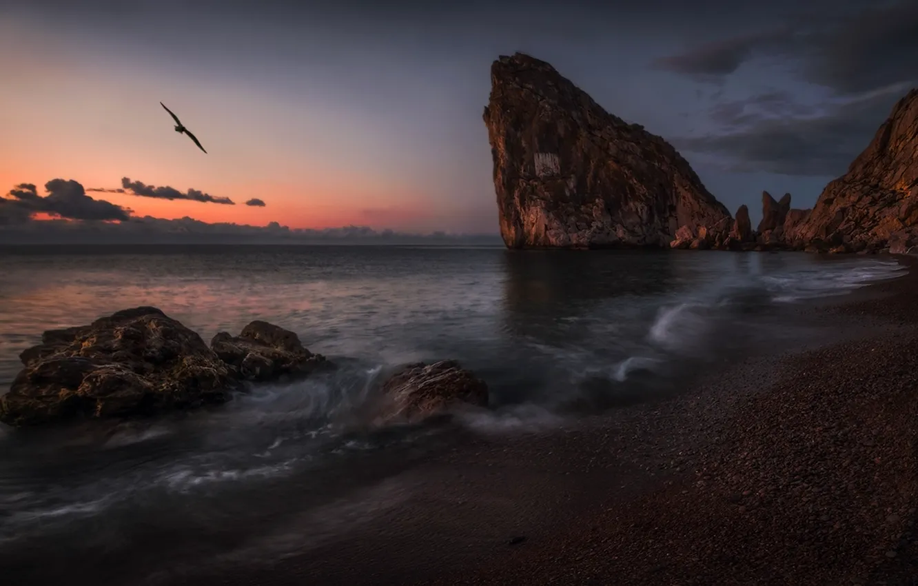 Фото обои море, пейзаж, закат, скалы, птица, берег, Крым, Дива, Симеиз