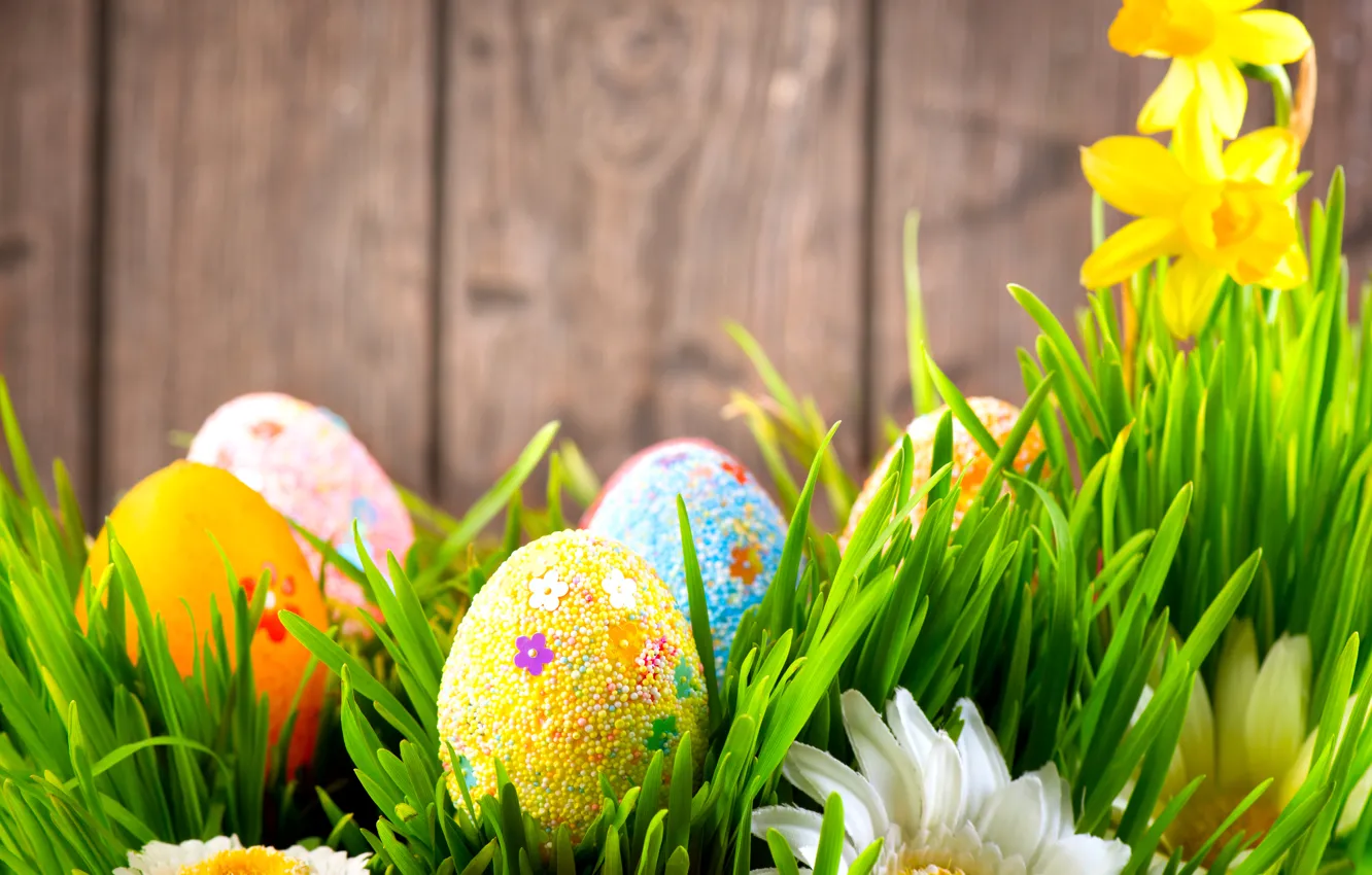 Фото обои трава, цветы, стена, праздник, доски, ромашки, яйца, Пасха, нарциссы, Easter