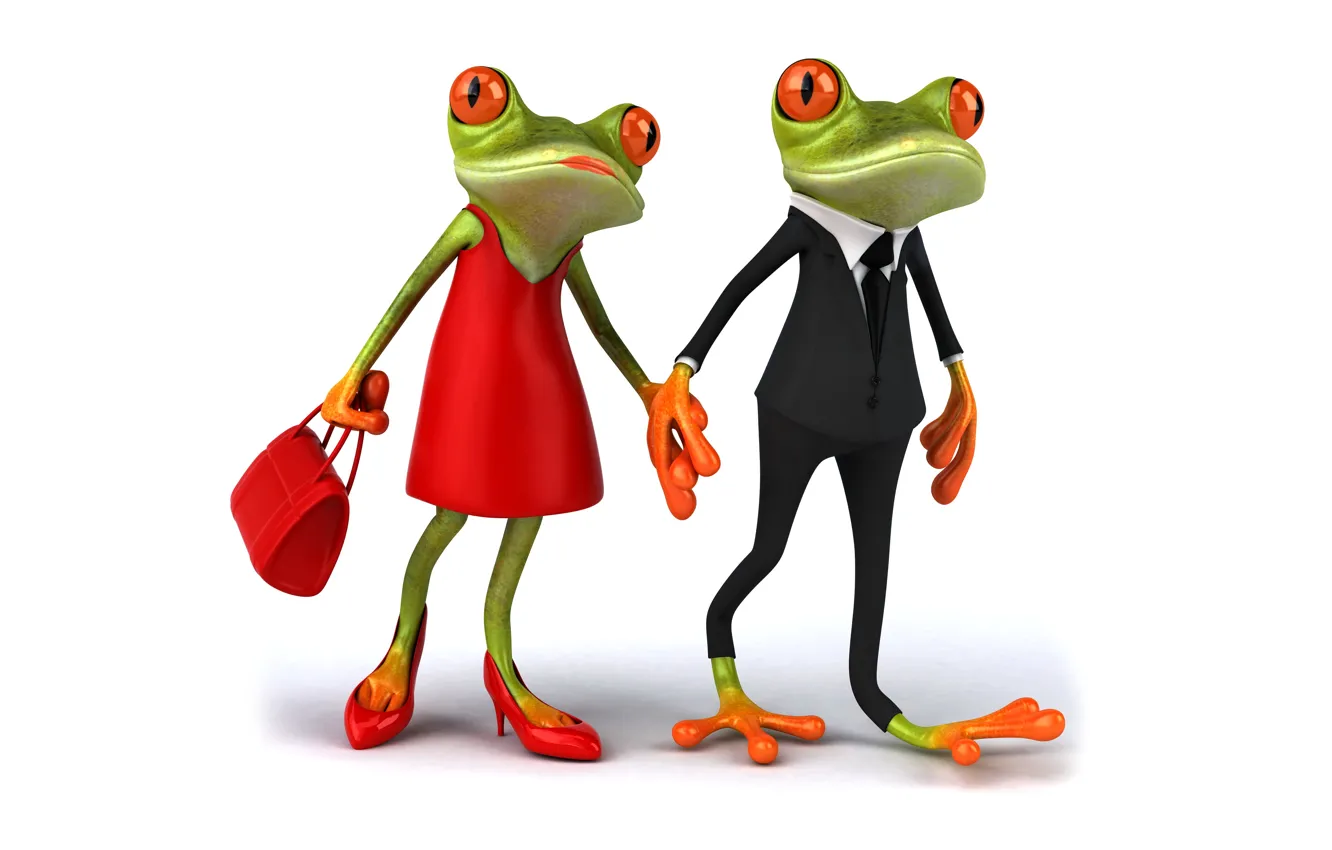 Фото обои лягушки, frog, couple, funny, elegant, female, male