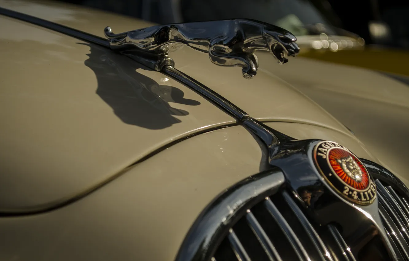 Фото обои Jaguar, капот, эмблема, автомобиль, бежевый