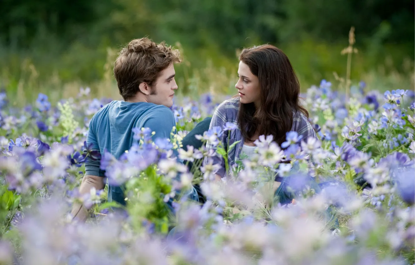 Фото обои поле, цветы, затмение, Kristen Stewart, сумерки, Robert Pattinson, двое, twilight, кристен стюарт, eclipse, flowers, сага, …