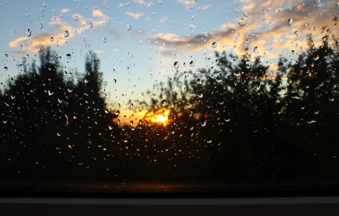Фото обои капли, дождь, окно
