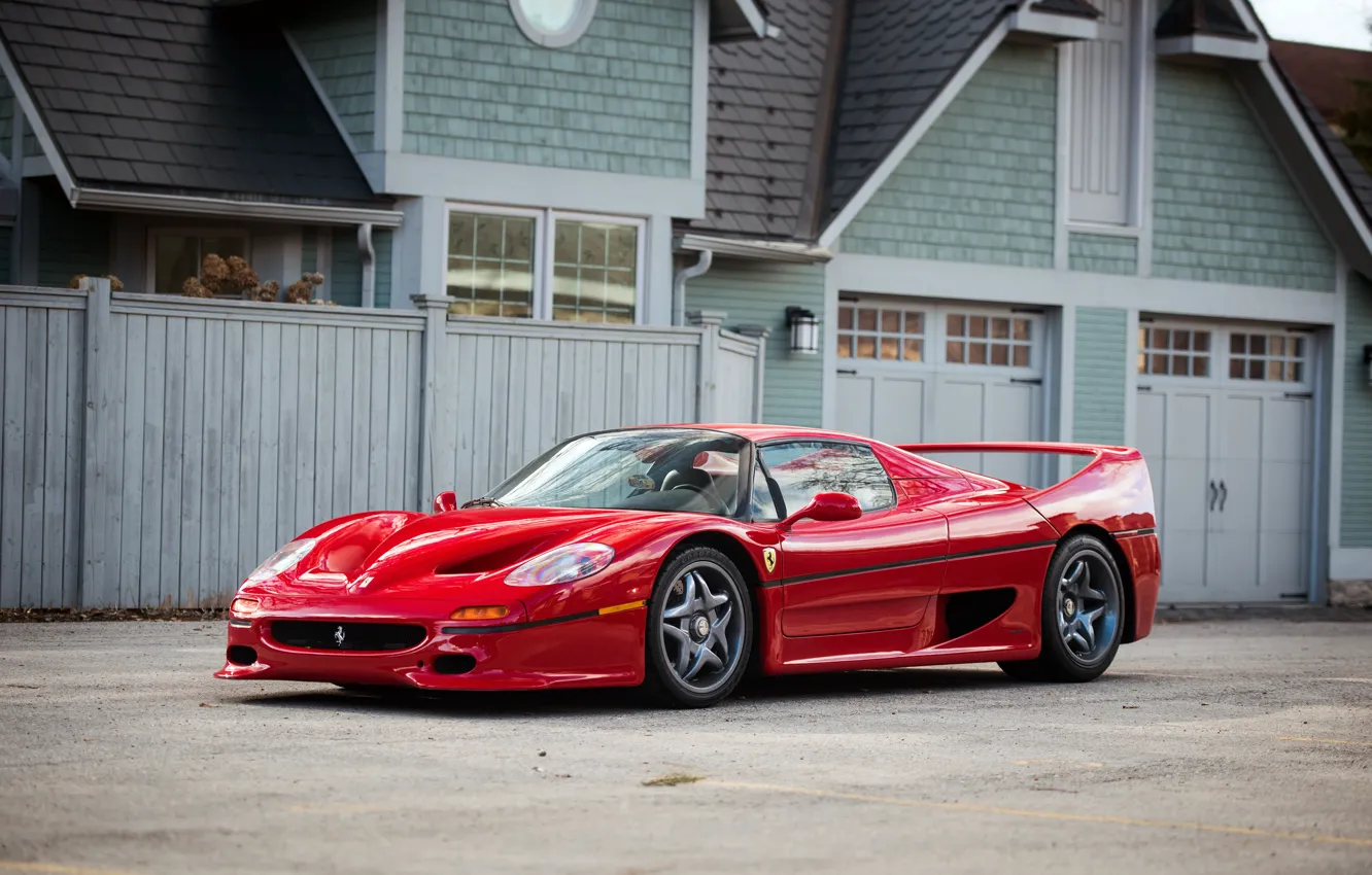 Фото обои Ferrari, суперкар, феррари, 1995, F50