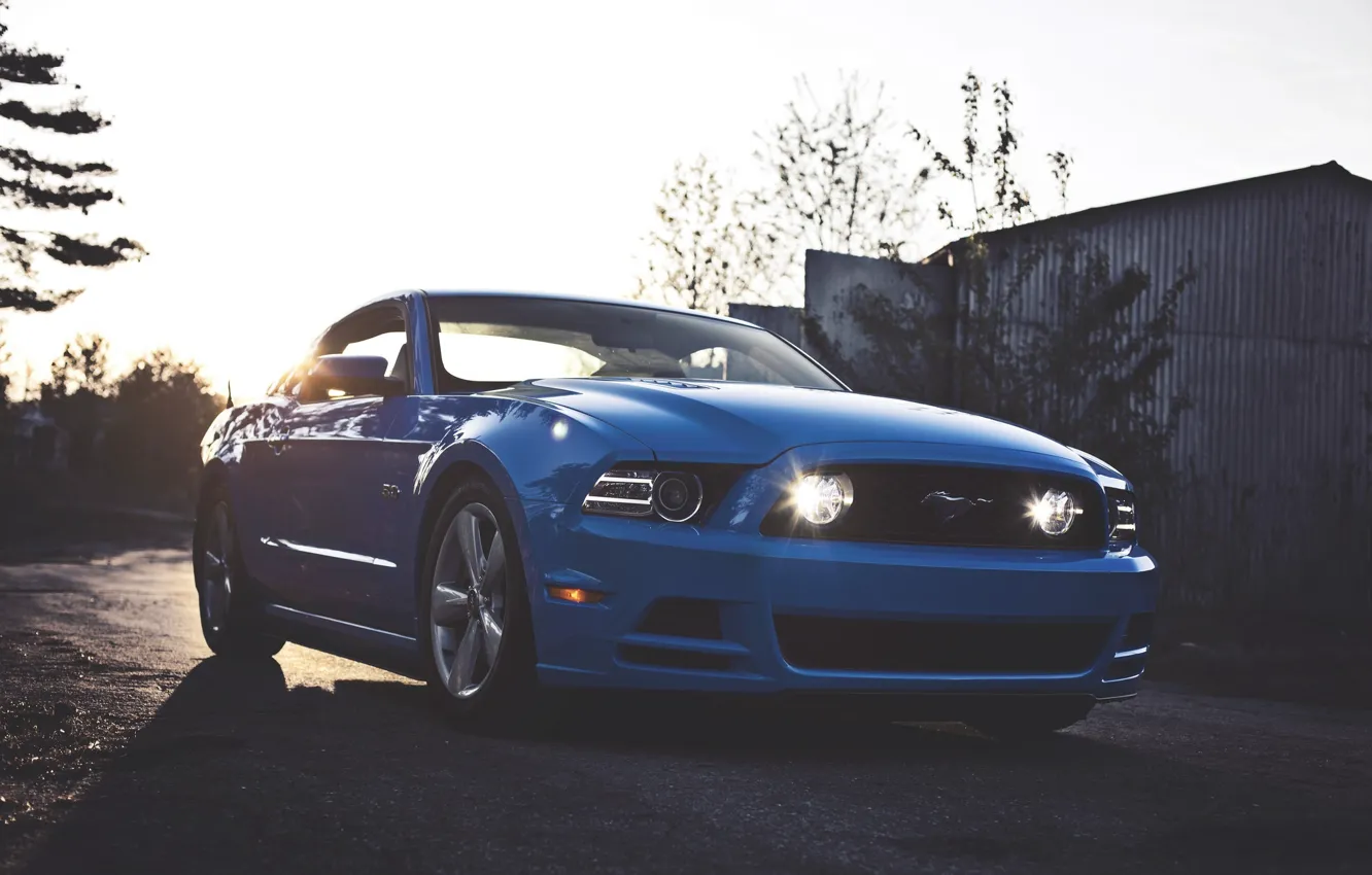 Фото обои Mustang, Ford, Форд, Muscle, Мустанг, Car, Blue, 5.0