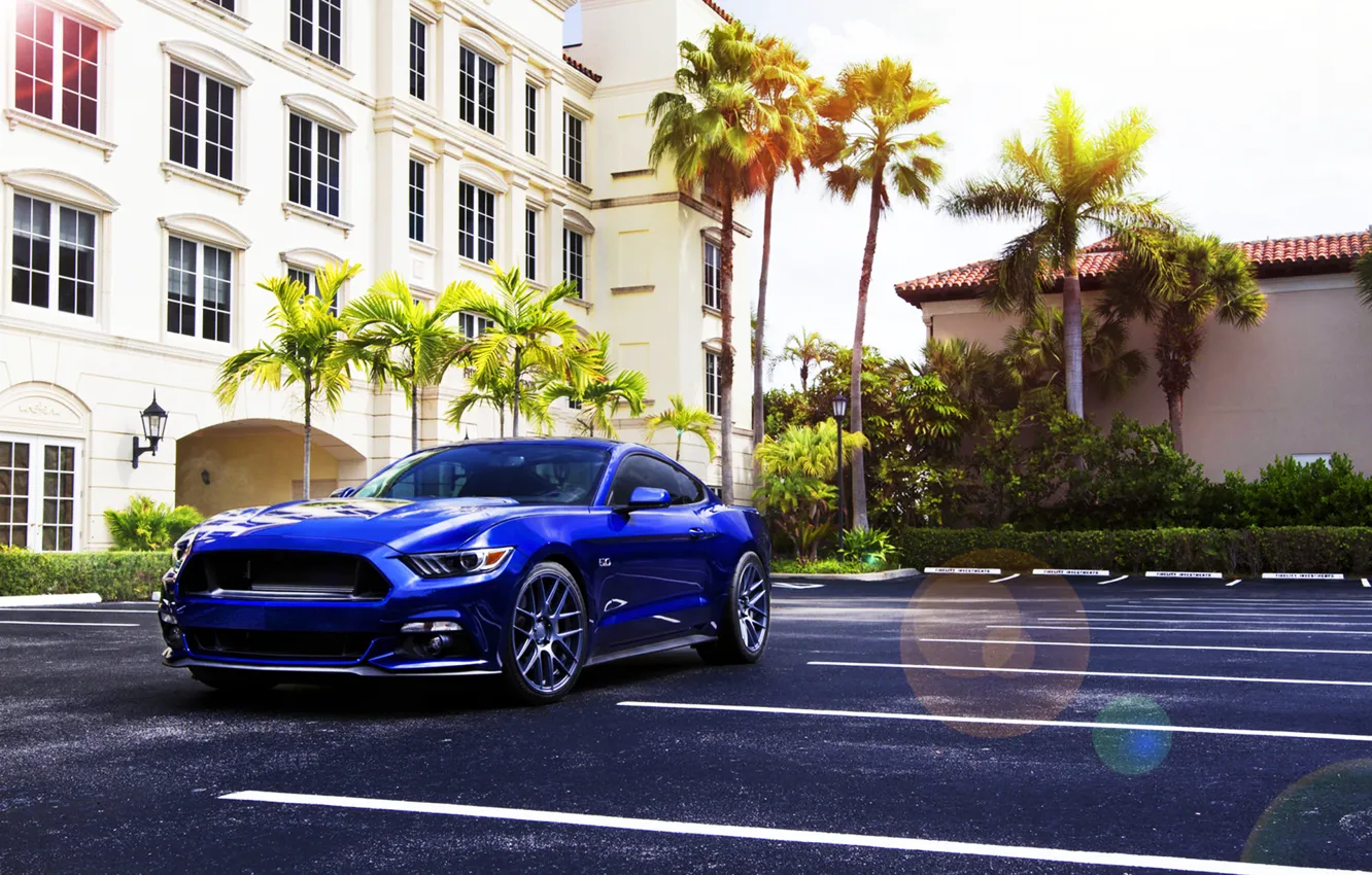 Фото обои Mustang, Ford, Muscle, Car, Blue, Front, Sun, Summer, Wheels, 2015, Velgen