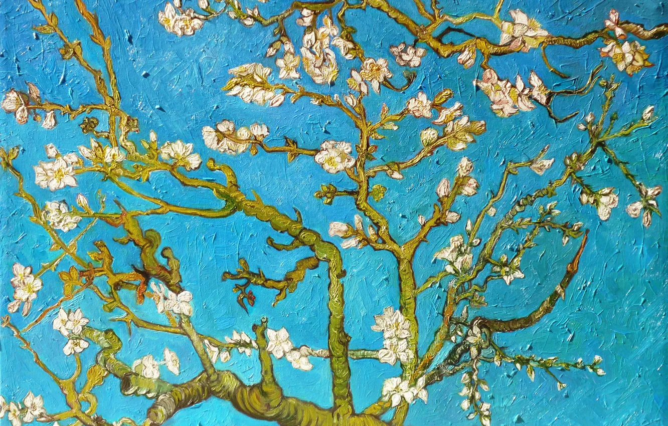 Фото обои ветви, картина, живопись, blue, art, Vincent van Gogh, миндальное дерево, Almond Tree, Винсент ван Гог