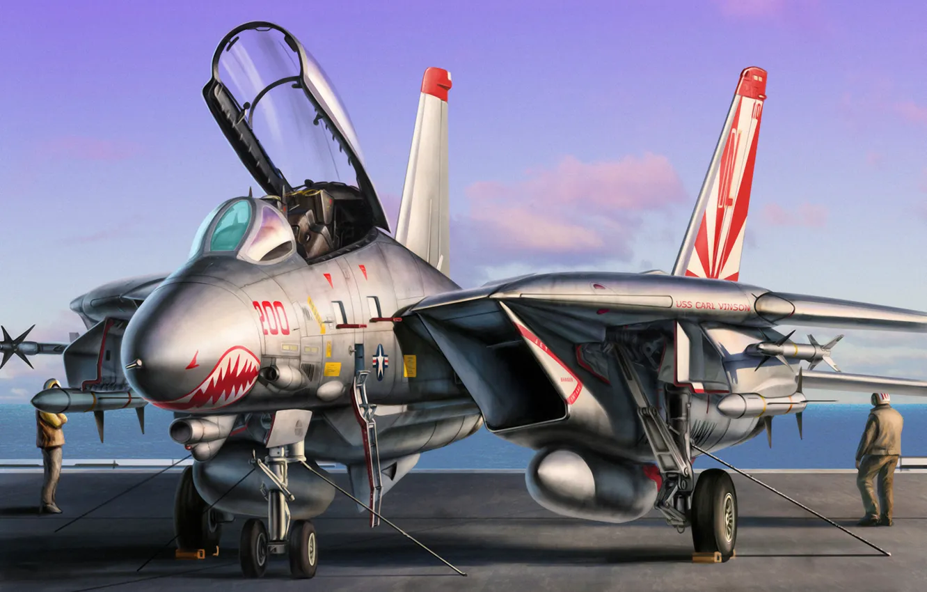 Фото обои war, art, painting, jet, F-14 Tomcat. 